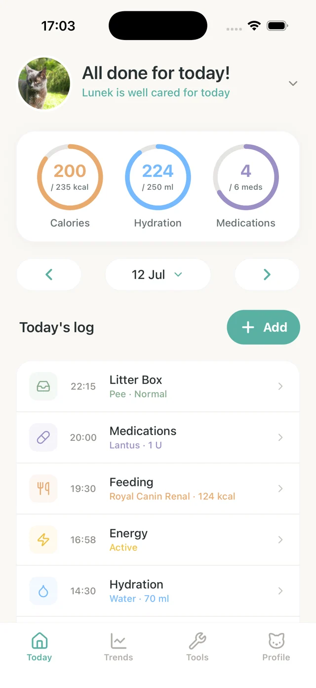 Today summary screen showing completed care tasks, hydration, medications, feeding, energy, and litter box logs.