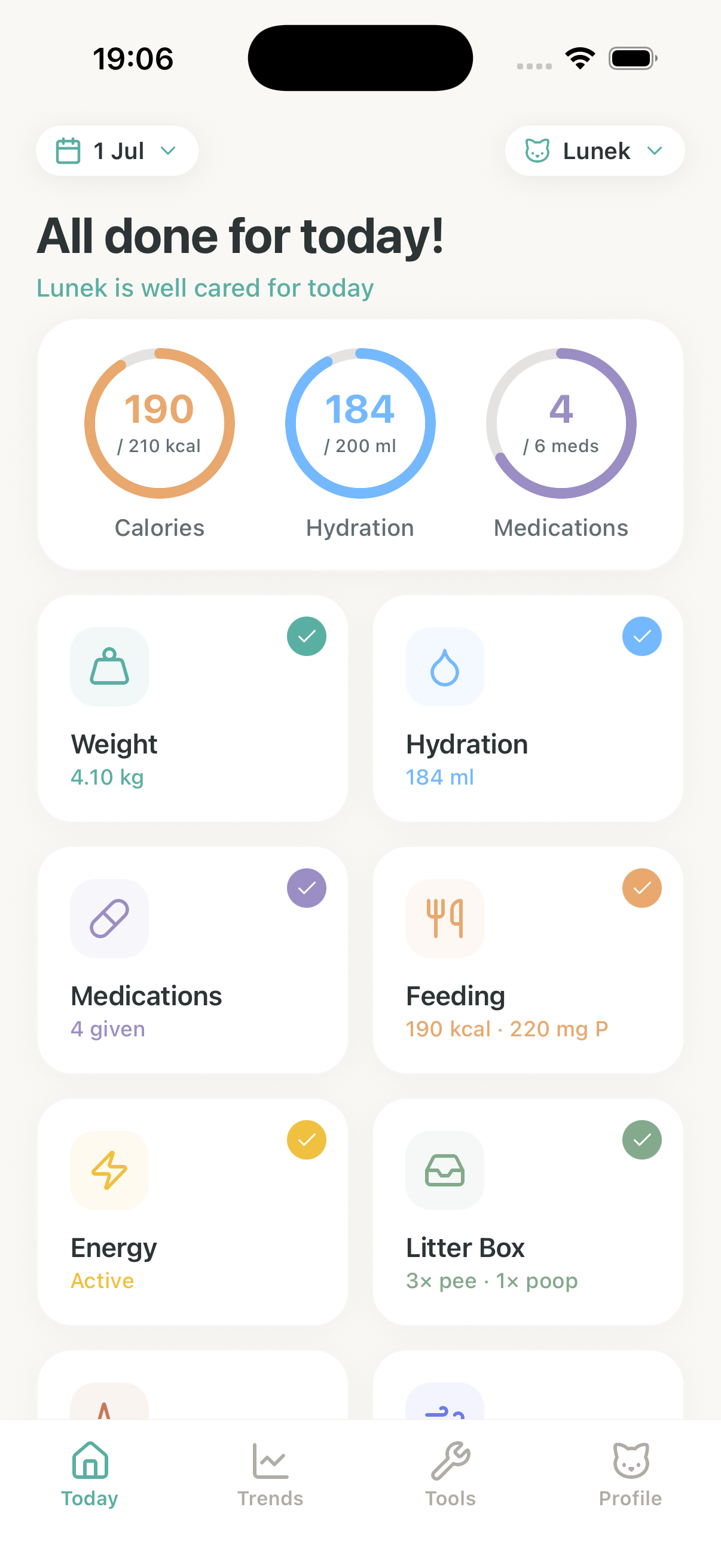 Today summary screen showing completed care tasks, hydration, medications, feeding, energy, and litter box logs.