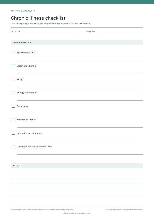 Preview of the printable chronic illness checklist